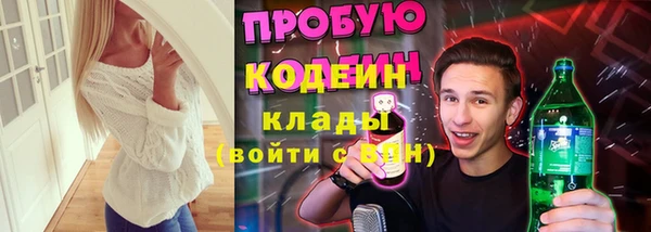 прущие грибы Алзамай