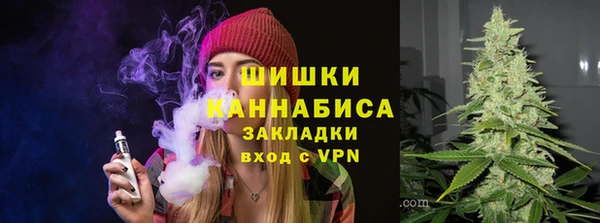 прущие грибы Алзамай