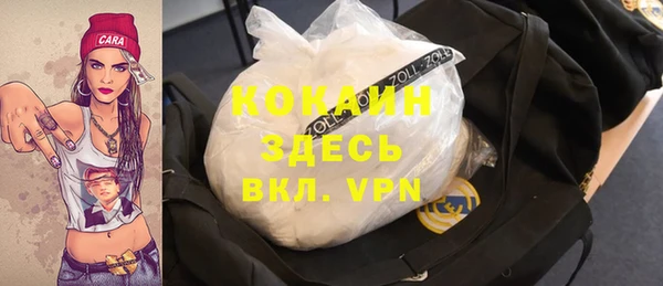 прущие грибы Алзамай