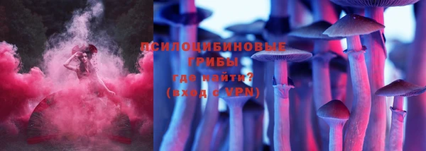 спиды Алексеевка