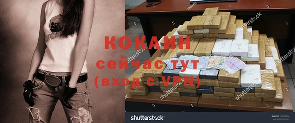 прущие грибы Алзамай
