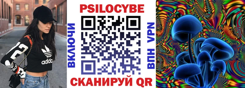 закладка  Борзя  Галлюциногенные грибы Psilocybine cubensis 